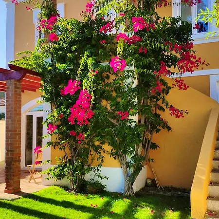 Spacious With Seaview In Vila