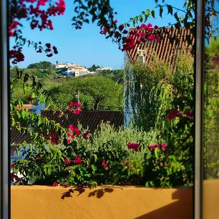 Spacious With Seaview In Vila *